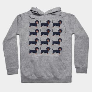 Dachshund dog breed cute pattern Hoodie